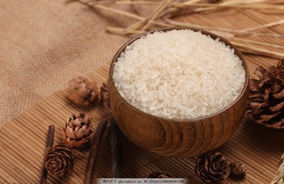 大米科技項目代理服務 推動農業現代化的創新路徑