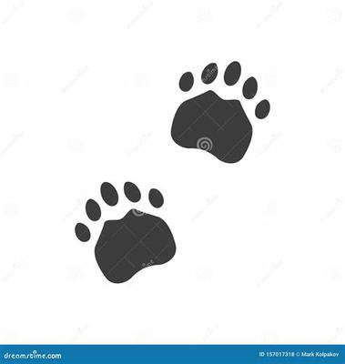 游戲代理加盟與科技項目服務 優質選擇與成功策略